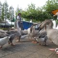 IMG_830287