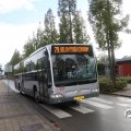 IMG_830334