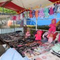 IMG_830339