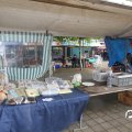 IMG_830341