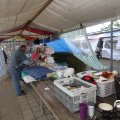 IMG_830345