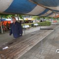 IMG_830346