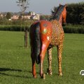 IMG_830850