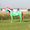 IMG_830859