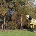 IMG_830867
