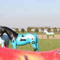 IMG_830880