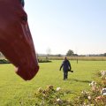IMG_830884