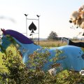IMG_830885
