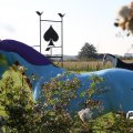 IMG_830886