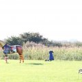 IMG_830899