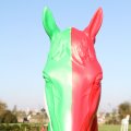 IMG_830903