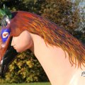 IMG_830907