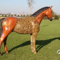 IMG_830911
