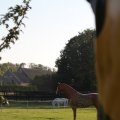 IMG_830929