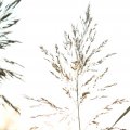 IMG_830935