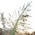 IMG_830936