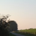 IMG_830939