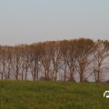 IMG_830942