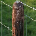 IMG_830944