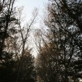IMG_830945