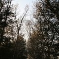 IMG_830946