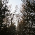 IMG_830947
