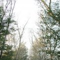IMG_830948