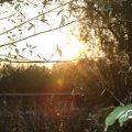 IMG_830952