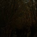 IMG_830953