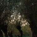 IMG_830958