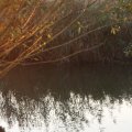 IMG_830961