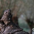 IMG_830966