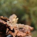IMG_830969