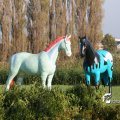 IMG_830981