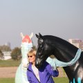 IMG_830986