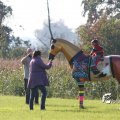 IMG_830996
