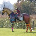 IMG_831001