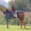 IMG_831002