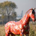 IMG_831008