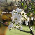 IMG_831016