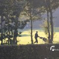 IMG_831068