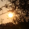 IMG_831113