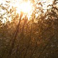 IMG_831114