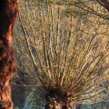 IMG_831125