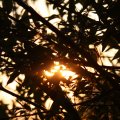 IMG_831132