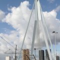 IMG_831156