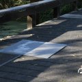 IMG_831222