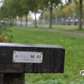 IMG_832803