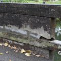IMG_832806