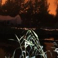 IMG_834022